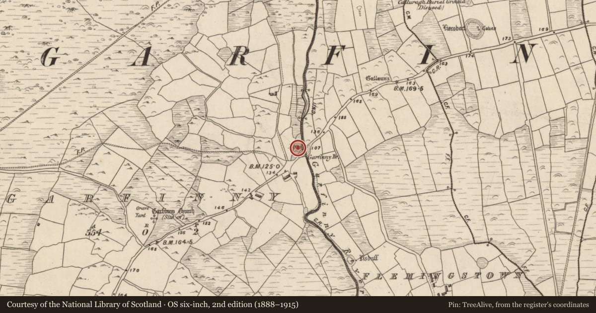 Ordnance Survey six-inch map, 2nd edition (1888–1915) covering the location of Souterrain, An Ghairfeanaigh, County Kerry, with a pin at the register's coordinates