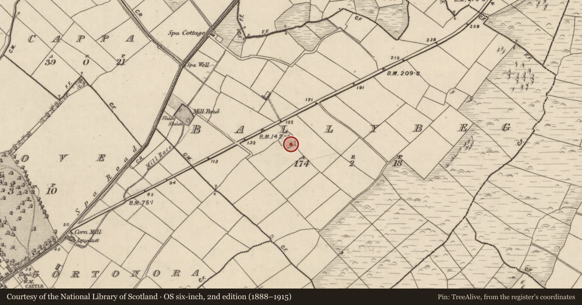 Ordnance Survey six-inch map, 2nd edition (1888–1915) covering the location of Clochan, An Baile Beag (TC na Gleannta), County Kerry, with a pin at the register's coordinates
