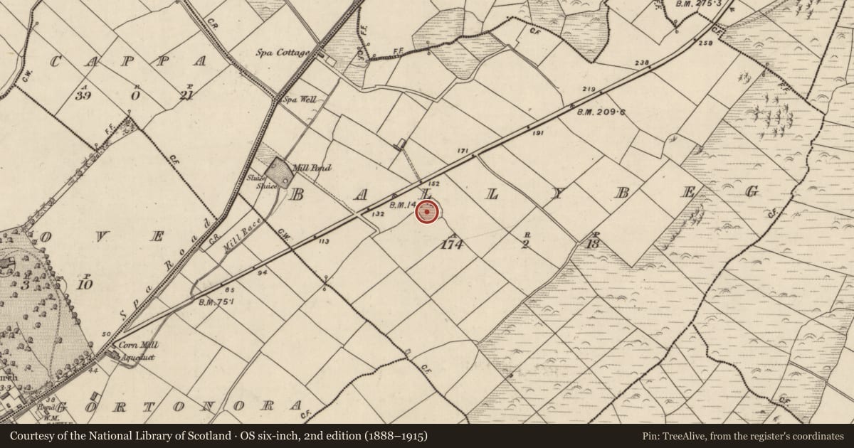 Ordnance Survey six-inch map, 2nd edition (1888–1915) covering the location of Souterrain, An Baile Beag (TC na Gleannta), County Kerry, with a pin at the register's coordinates