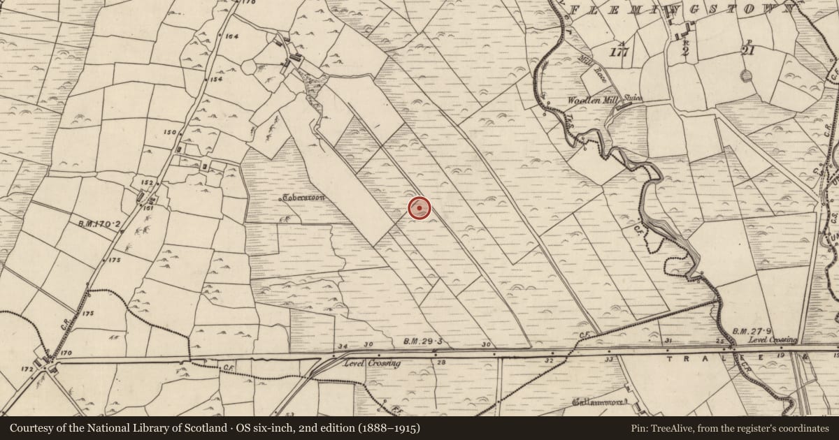 Ordnance Survey six-inch map, 2nd edition (1888–1915) covering the location of Fulacht fia, An Ghairfeanaigh, County Kerry, with a pin at the register's coordinates
