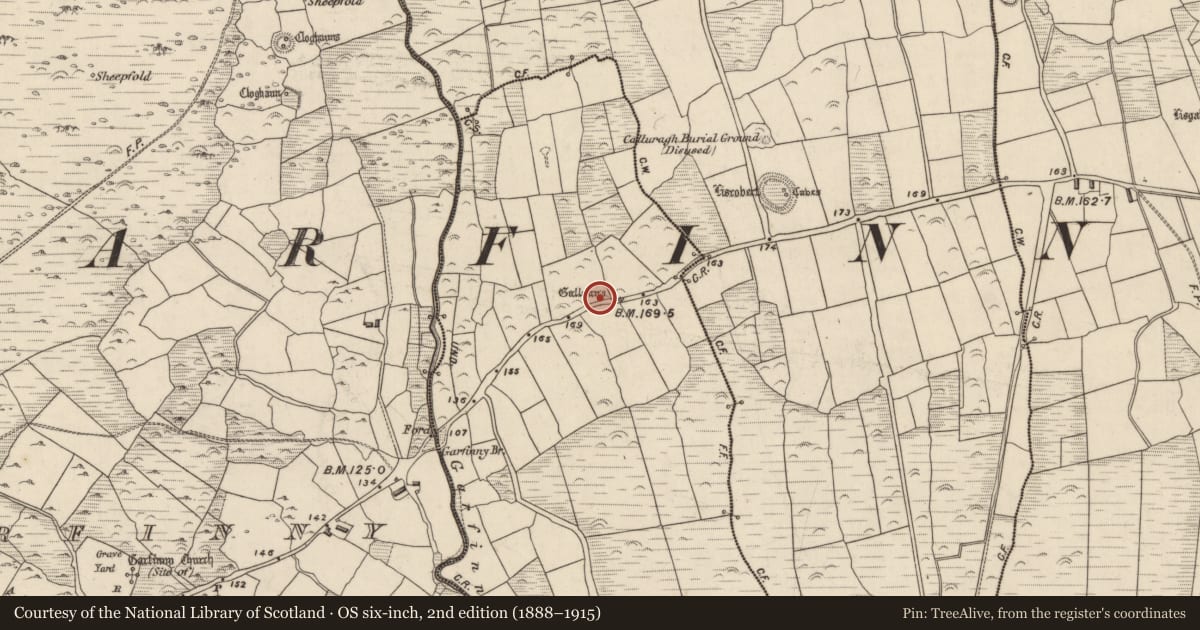 Ordnance Survey six-inch map, 2nd edition (1888–1915) covering the location of Standing stone, Baile An Phléamannaigh (TC Na Gleannta), County Kerry, with a pin at the register's coordinates