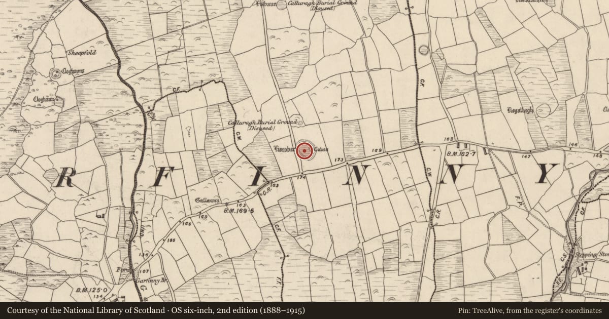 Ordnance Survey six-inch map, 2nd edition (1888–1915) covering the location of Ringfort - rath, Baile An Bhúlaeraigh Theas, County Kerry, with a pin at the register's coordinates