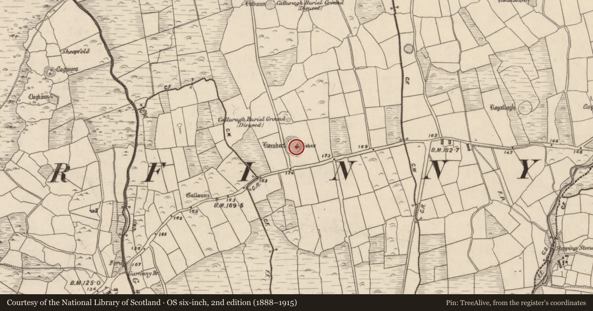 Ordnance Survey six-inch map, 2nd edition (1888–1915) covering the location of Souterrain, Baile An Bhúlaeraigh Theas, County Kerry, with a pin at the register's coordinates