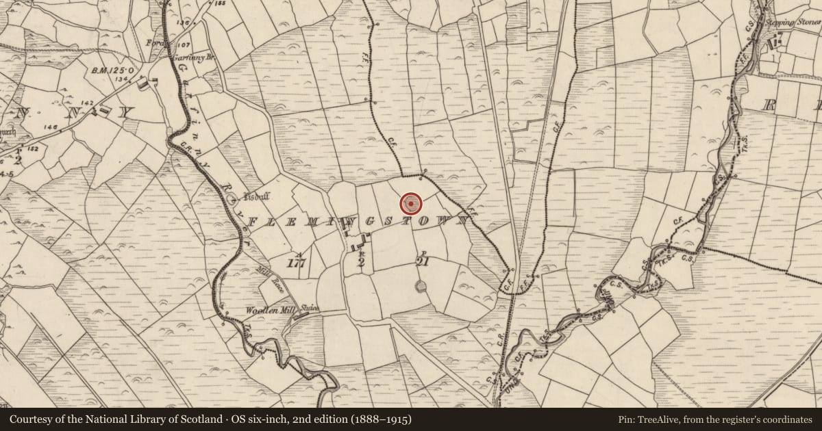 Ordnance Survey six-inch map, 2nd edition (1888–1915) covering the location of Ringfort - rath, Baile An Phléamannaigh (TC Na Gleannta), County Kerry, with a pin at the register's coordinates