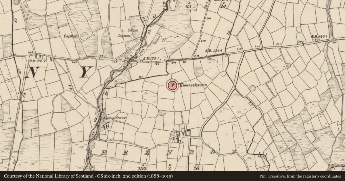 Ordnance Survey six-inch map, 2nd edition (1888–1915) covering the location of Hut site, An Rinn Bhuí, County Kerry, with a pin at the register's coordinates