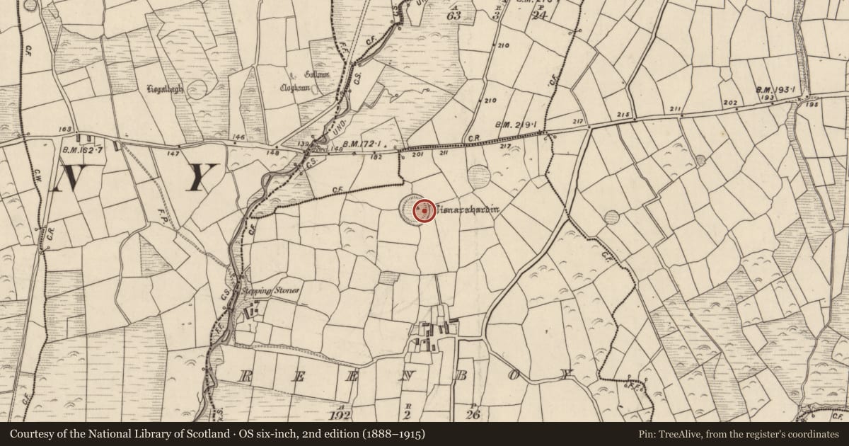 Ordnance Survey six-inch map, 2nd edition (1888–1915) covering the location of Hut site, An Rinn Bhuí, County Kerry, with a pin at the register's coordinates