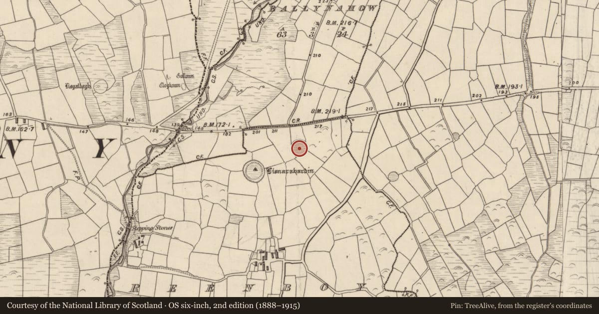 Ordnance Survey six-inch map, 2nd edition (1888–1915) covering the location of Ringfort - rath, An Rinn Bhuí, County Kerry, with a pin at the register's coordinates