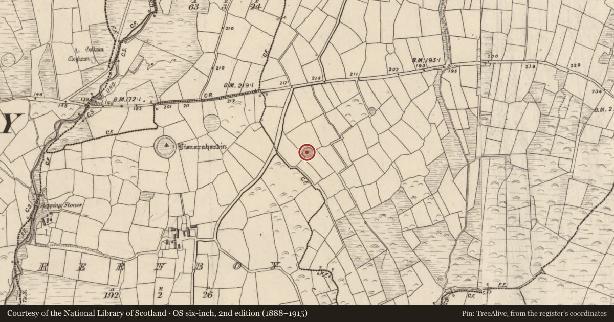 Ordnance Survey six-inch map, 2nd edition (1888–1915) covering the location of Ringfort - rath, Lios Deargáin, County Kerry, with a pin at the register's coordinates