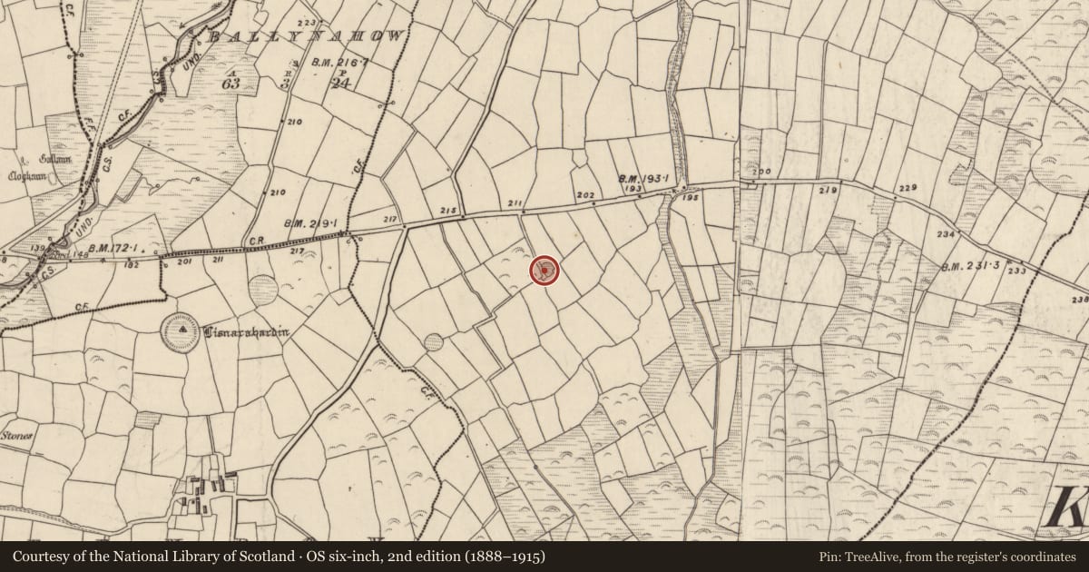 Ordnance Survey six-inch map, 2nd edition (1888–1915) covering the location of Ringfort - rath, Lios Deargáin, County Kerry, with a pin at the register's coordinates
