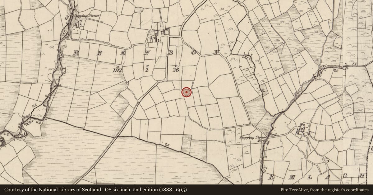 Ordnance Survey six-inch map, 2nd edition (1888–1915) covering the location of Ringfort - rath, An Rinn Bhuí, County Kerry, with a pin at the register's coordinates