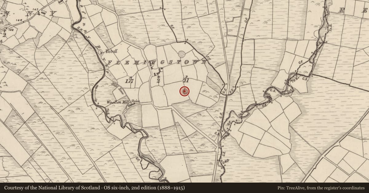 Ordnance Survey six-inch map, 2nd edition (1888–1915) covering the location of Ringfort - rath, Baile An Phléamannaigh (TC Na Gleannta), County Kerry, with a pin at the register's coordinates