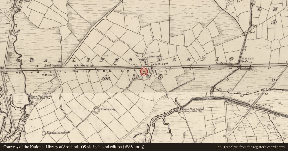 Ordnance Survey six-inch map, 2nd edition (1888–1915) covering the location of Ringfort - rath, Baile An Ístínigh, County Kerry, with a pin at the register's coordinates