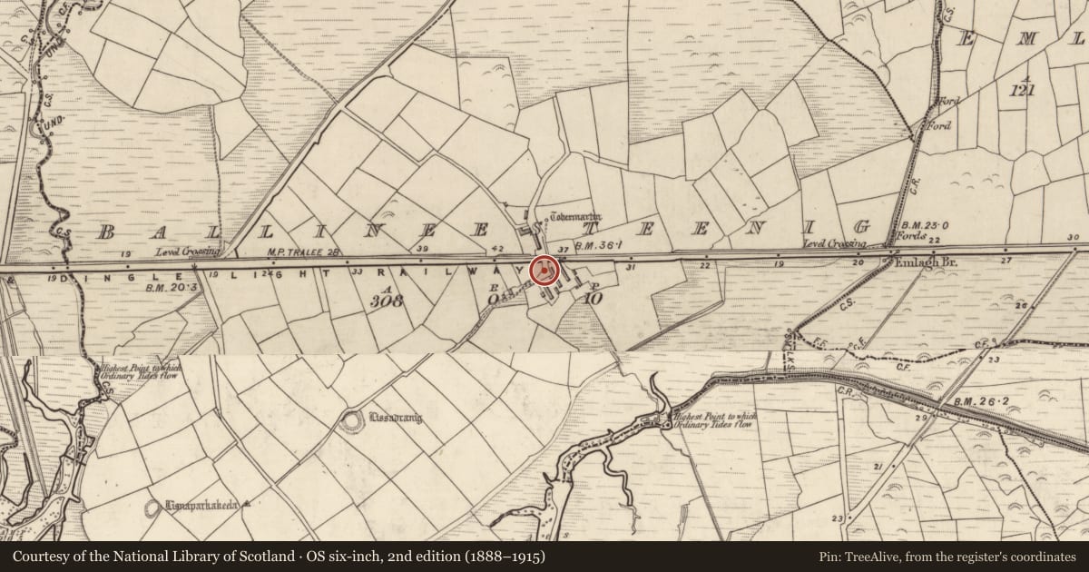 Ordnance Survey six-inch map, 2nd edition (1888–1915) covering the location of Ogham stone, Baile An Ístínigh, County Kerry, with a pin at the register's coordinates