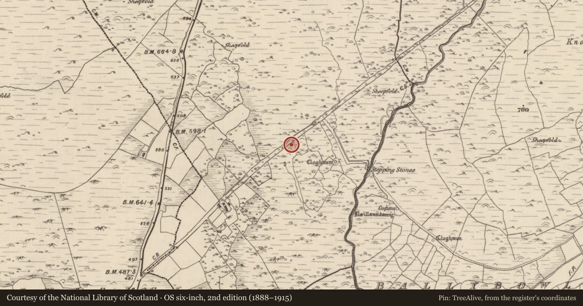 Ordnance Survey six-inch map, 2nd edition (1888–1915) covering the location of Anomalous stone group, Com An Bhúlaeraigh, County Kerry, with a pin at the register's coordinates