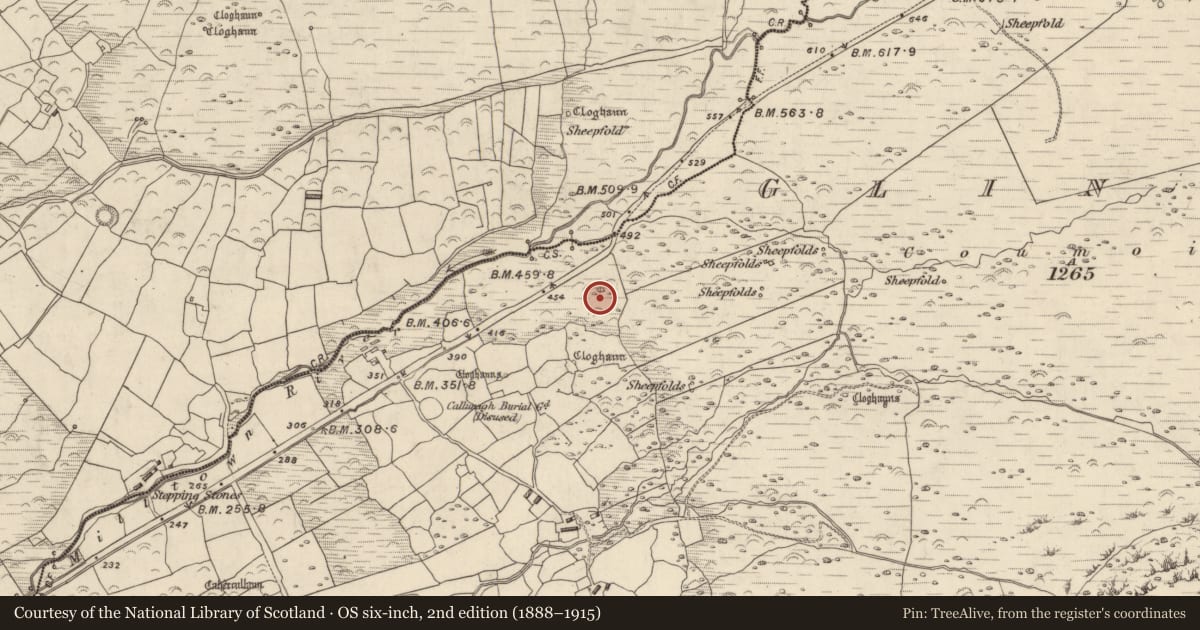 Ordnance Survey six-inch map, 2nd edition (1888–1915) covering the location of Standing stone, Na Gleannta Thuaidh, County Kerry, with a pin at the register's coordinates