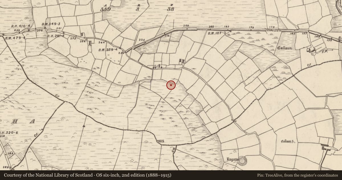 Ordnance Survey six-inch map, 2nd edition (1888–1915) covering the location of Enclosure, An Garrán, County Kerry, with a pin at the register's coordinates