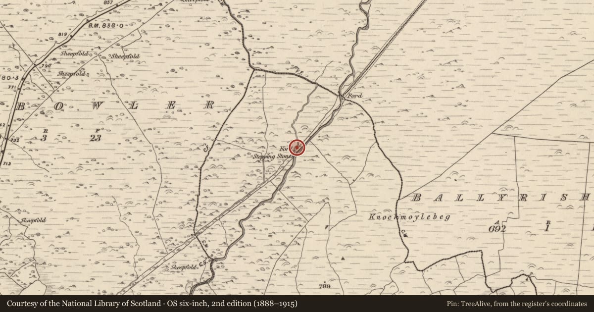 Ordnance Survey six-inch map, 2nd edition (1888–1915) covering the location of Fulacht fia, Baile An Bhúlaeraigh Theas, County Kerry, with a pin at the register's coordinates