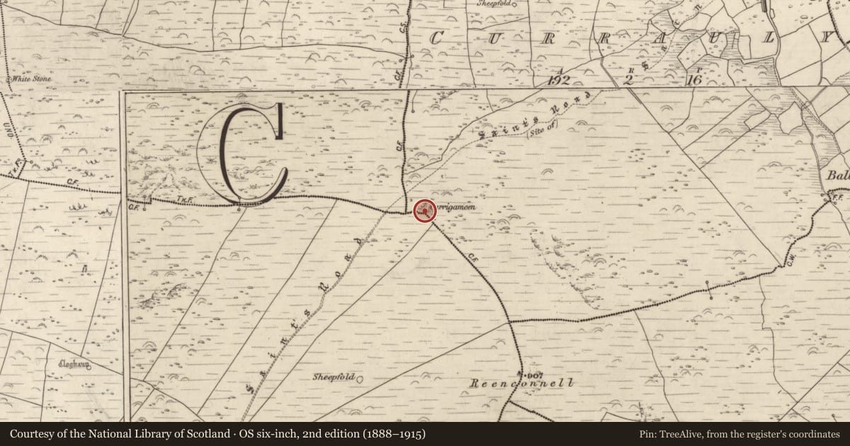 Ordnance Survey six-inch map, 2nd edition (1888–1915) covering the location of Rock art, Corr Áille, County Kerry, with a pin at the register's coordinates