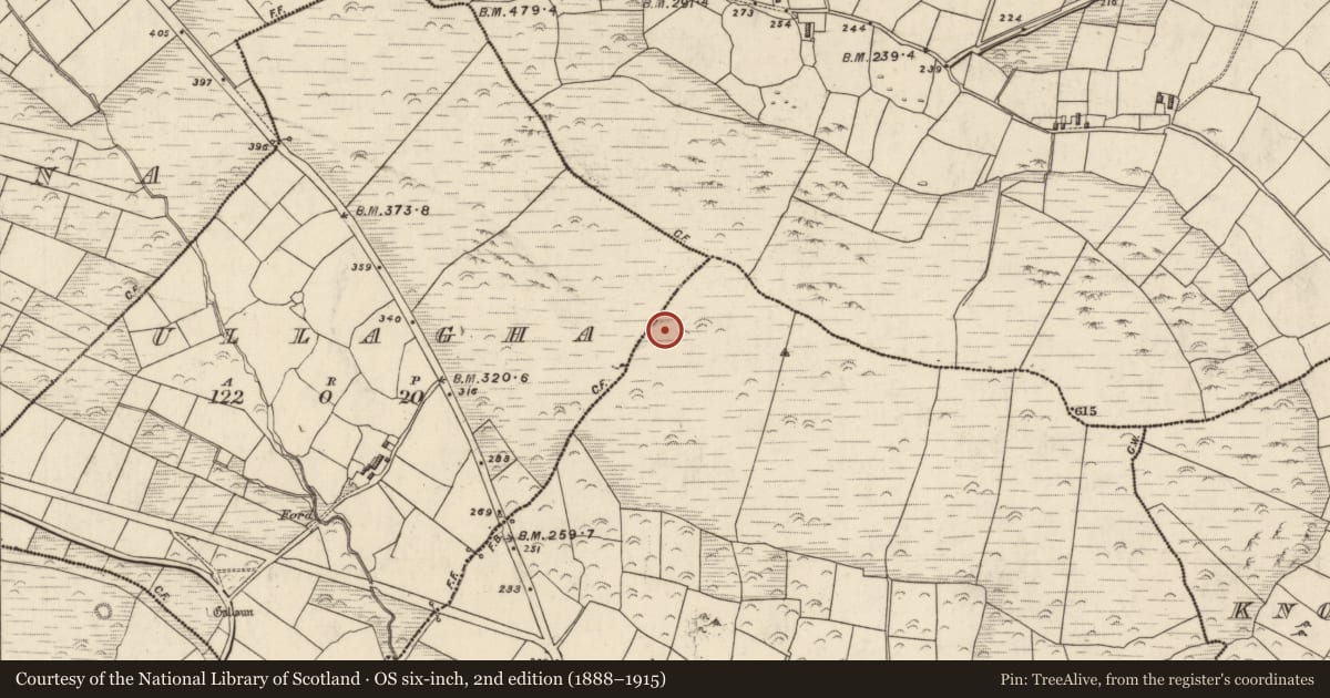 Ordnance Survey six-inch map, 2nd edition (1888–1915) covering the location of Cist, Cnoc An Bhróigín Thiar, County Kerry, with a pin at the register's coordinates