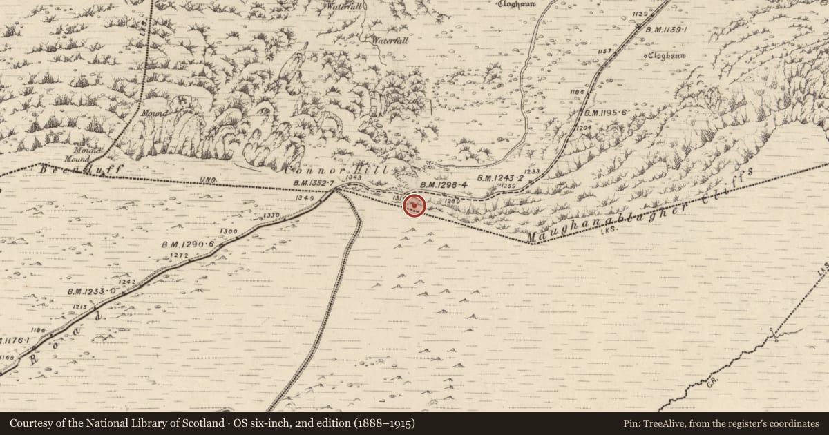 Ordnance Survey six-inch map, 2nd edition (1888–1915) covering the location of Standing stone, Cloichearaí, County Kerry, with a pin at the register's coordinates