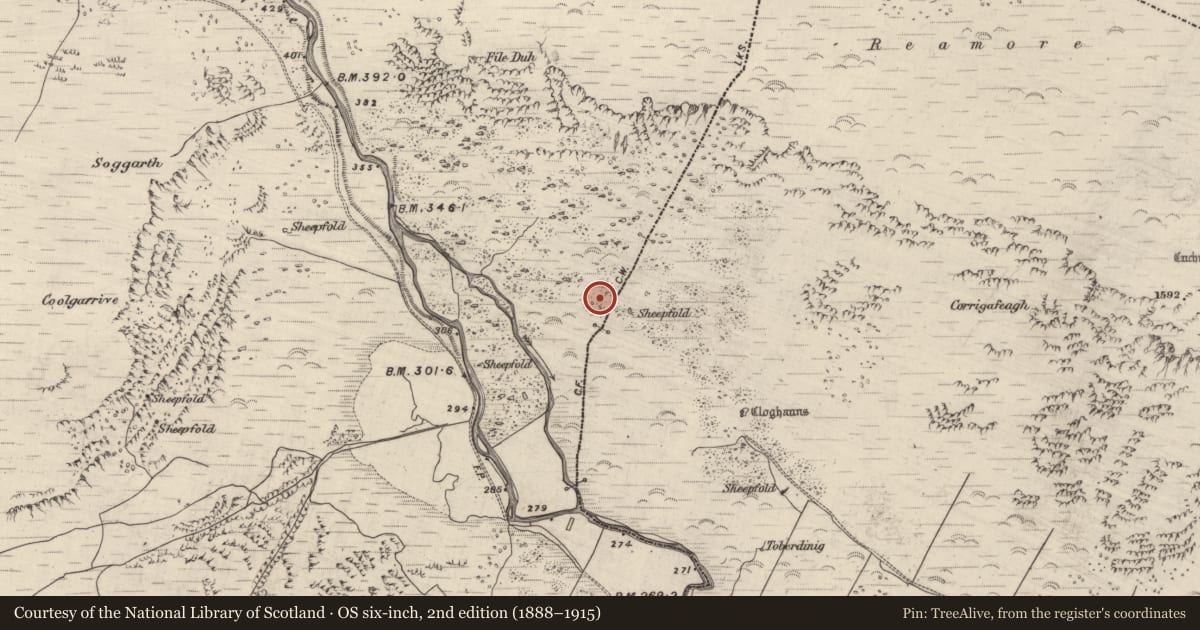 Ordnance Survey six-inch map, 2nd edition (1888–1915) covering the location of Hut site, Coumduff, County Kerry, with a pin at the register's coordinates