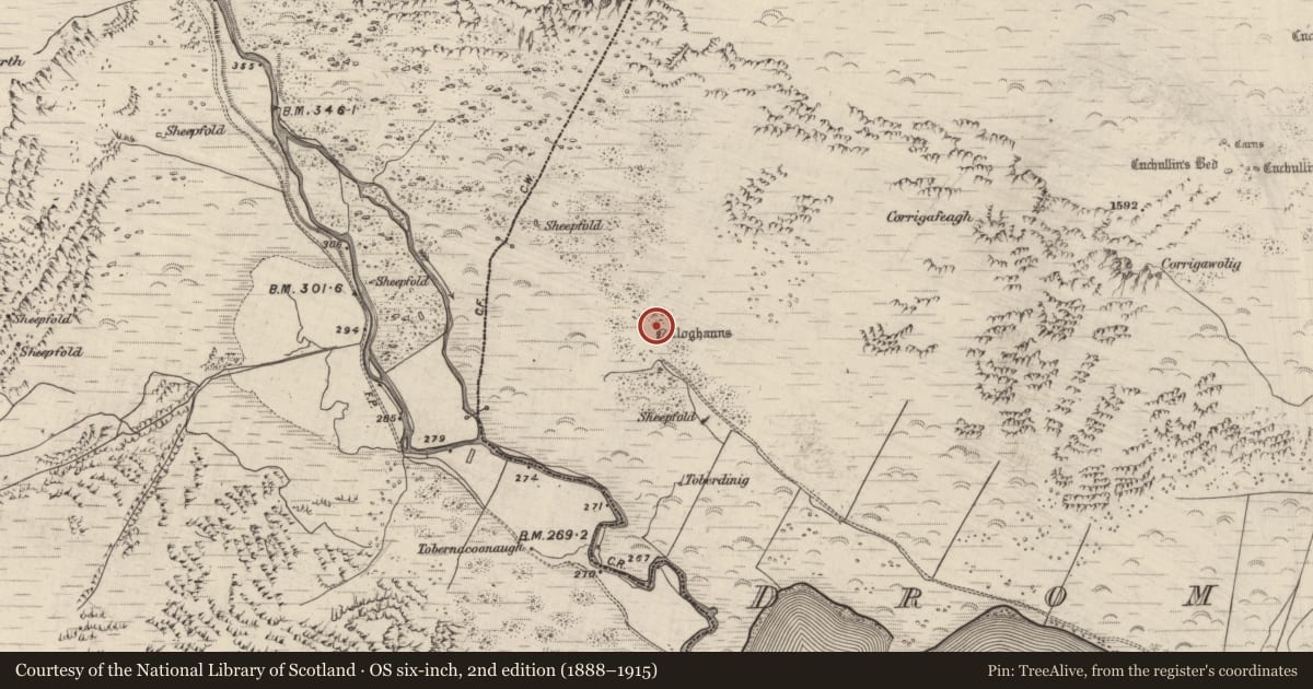 Ordnance Survey six-inch map, 2nd edition (1888–1915) covering the location of Hut site, Dromavally, County Kerry, with a pin at the register's coordinates