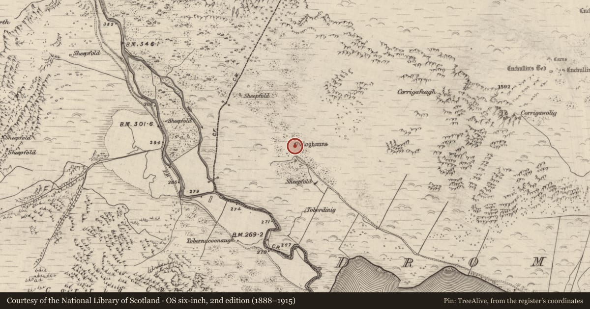 Ordnance Survey six-inch map, 2nd edition (1888–1915) covering the location of Hut site, Dromavally, County Kerry, with a pin at the register's coordinates