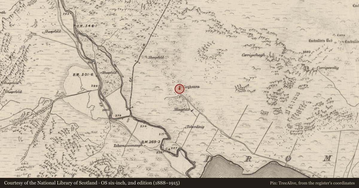 Ordnance Survey six-inch map, 2nd edition (1888–1915) covering the location of Hut site, Dromavally, County Kerry, with a pin at the register's coordinates