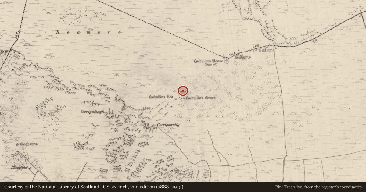 Ordnance Survey six-inch map, 2nd edition (1888–1915) covering the location of Hut site, Dromavally, County Kerry, with a pin at the register's coordinates