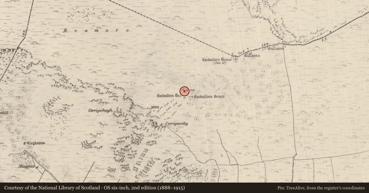 Ordnance Survey six-inch map, 2nd edition (1888–1915) covering the location of Hut site, Dromavally, County Kerry, with a pin at the register's coordinates