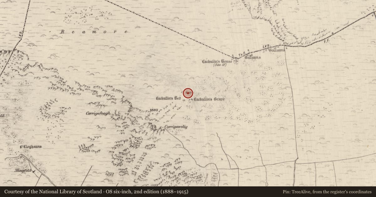 Ordnance Survey six-inch map, 2nd edition (1888–1915) covering the location of Hut site, Dromavally, County Kerry, with a pin at the register's coordinates