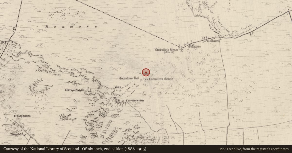Ordnance Survey six-inch map, 2nd edition (1888–1915) covering the location of Hut site, Dromavally, County Kerry, with a pin at the register's coordinates