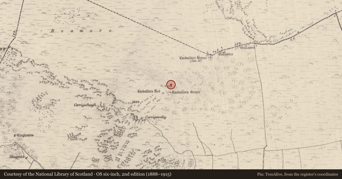 Ordnance Survey six-inch map, 2nd edition (1888–1915) covering the location of Cairn - unclassified, Dromavally, County Kerry, with a pin at the register's coordinates