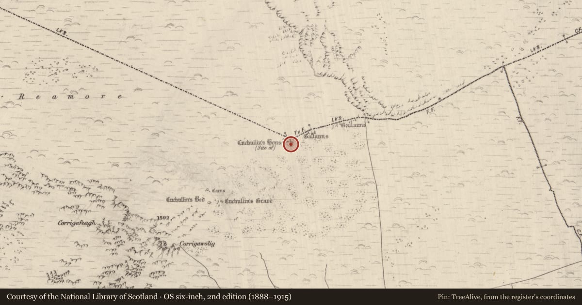 Ordnance Survey six-inch map, 2nd edition (1888–1915) covering the location of Cairn - unclassified, Dromavally, Glanteenassig, County Kerry, with a pin at the register's coordinates