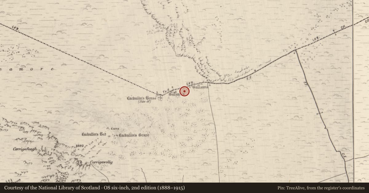Ordnance Survey six-inch map, 2nd edition (1888–1915) covering the location of Field boundary, Glanteenassig, Dromavally, County Kerry, with a pin at the register's coordinates