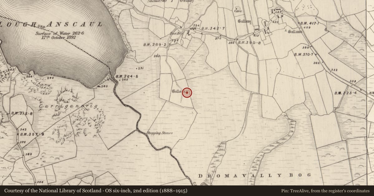 Ordnance Survey six-inch map, 2nd edition (1888–1915) covering the location of Standing stone, Dromavally, County Kerry, with a pin at the register's coordinates