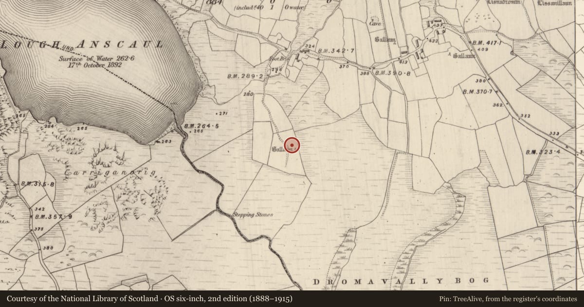Ordnance Survey six-inch map, 2nd edition (1888–1915) covering the location of Enclosure, Dromavally, County Kerry, with a pin at the register's coordinates