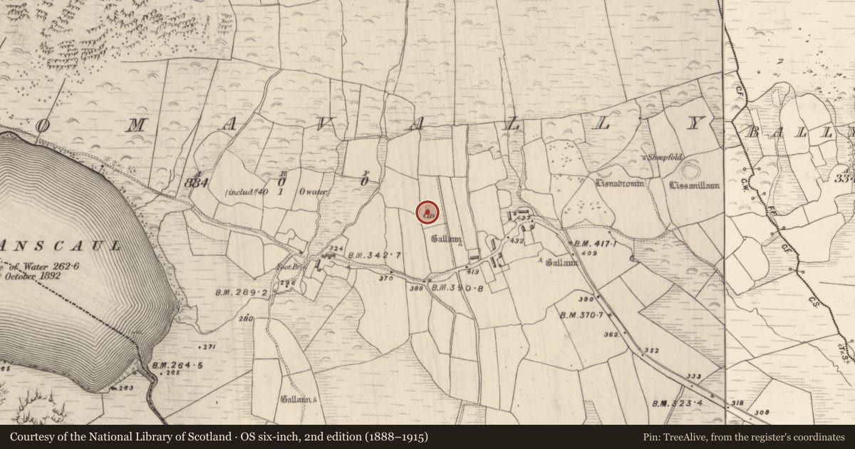 Ordnance Survey six-inch map, 2nd edition (1888–1915) covering the location of Souterrain, Dromavally, County Kerry, with a pin at the register's coordinates