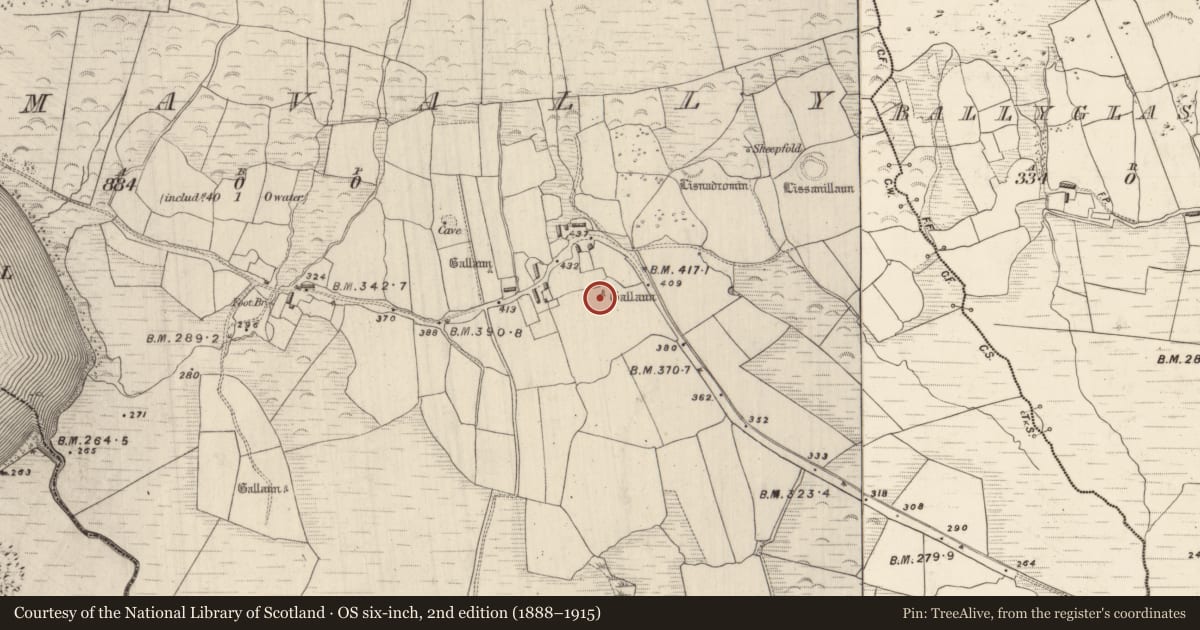 Ordnance Survey six-inch map, 2nd edition (1888–1915) covering the location of Standing stone, Dromavally, County Kerry, with a pin at the register's coordinates