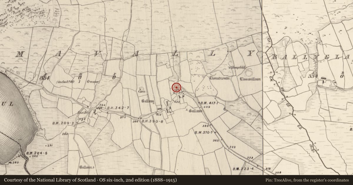 Ordnance Survey six-inch map, 2nd edition (1888–1915) covering the location of Ringfort - rath, Dromavally, County Kerry, with a pin at the register's coordinates