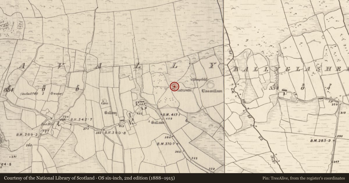 Ordnance Survey six-inch map, 2nd edition (1888–1915) covering the location of Ringfort - rath, Dromavally, County Kerry, with a pin at the register's coordinates