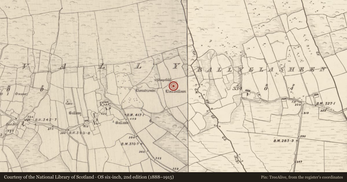 Ordnance Survey six-inch map, 2nd edition (1888–1915) covering the location of Ringfort - rath, Dromavally, County Kerry, with a pin at the register's coordinates