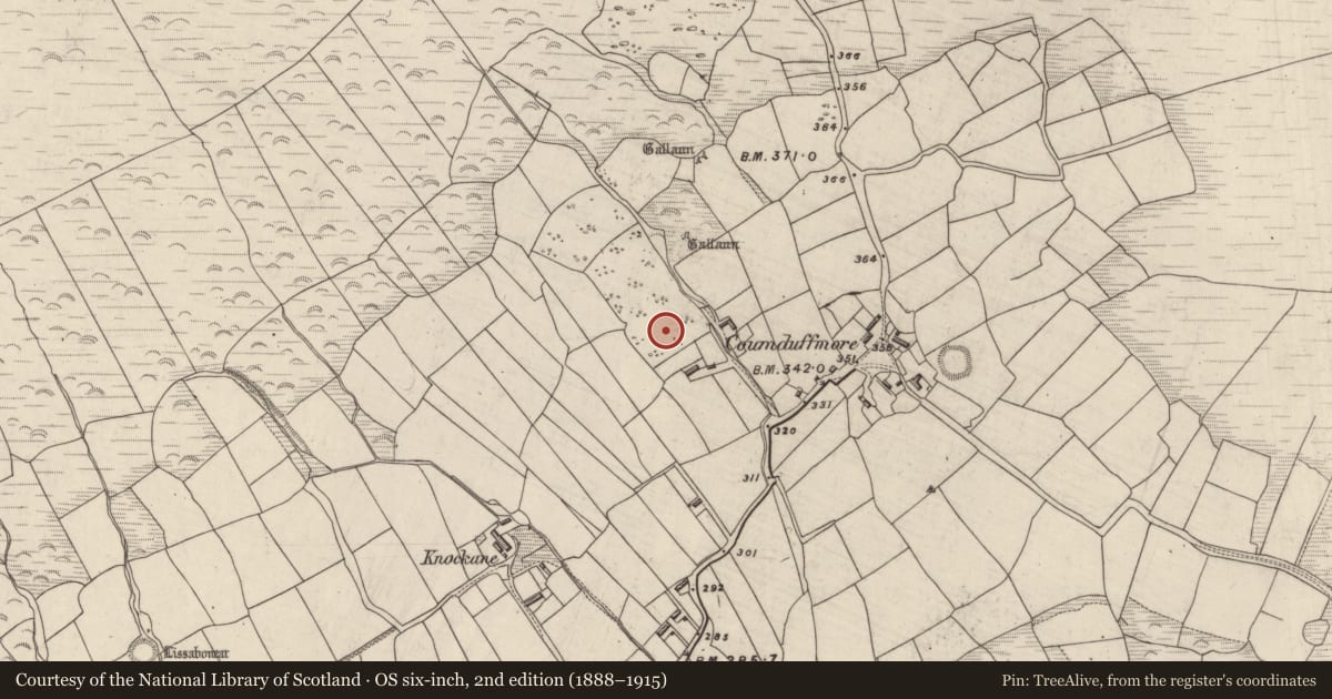 Ordnance Survey six-inch map, 2nd edition (1888–1915) covering the location of Cupmarked stone, Coumduff, County Kerry, with a pin at the register's coordinates