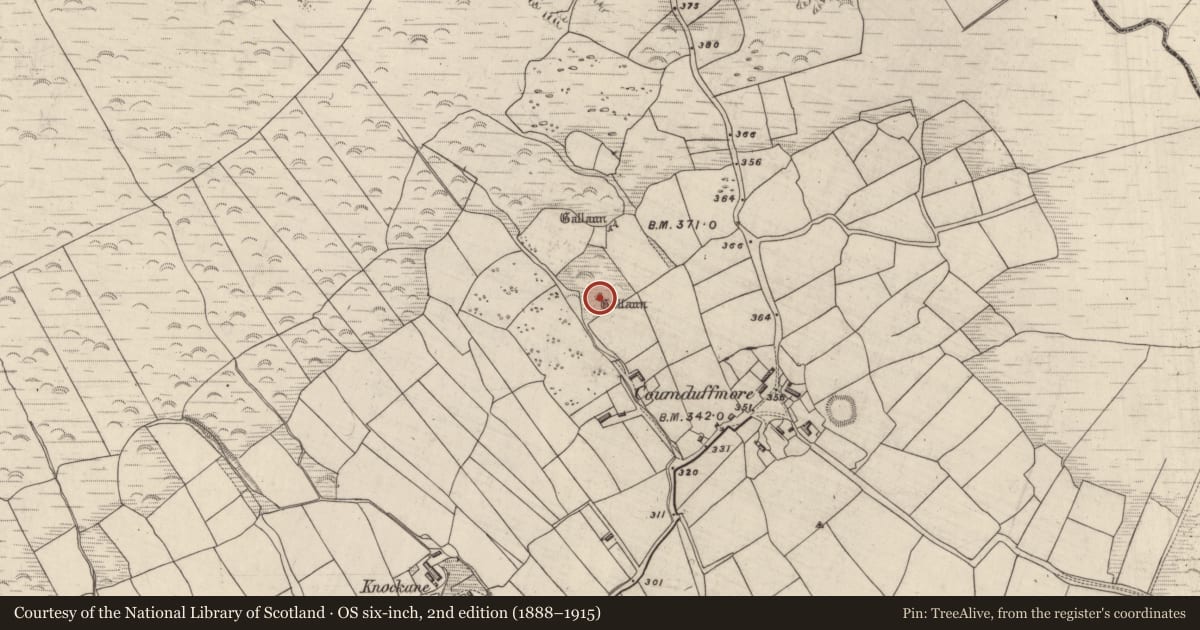 Ordnance Survey six-inch map, 2nd edition (1888–1915) covering the location of Standing stone - pair, Coumduff, County Kerry, with a pin at the register's coordinates