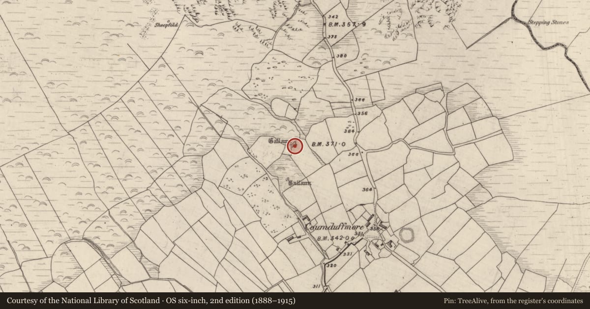Ordnance Survey six-inch map, 2nd edition (1888–1915) covering the location of Standing stone, Coumduff, County Kerry, with a pin at the register's coordinates
