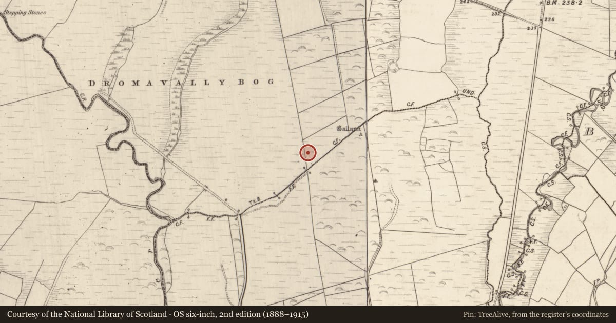 Ordnance Survey six-inch map, 2nd edition (1888–1915) covering the location of Rock art, Dromavally, County Kerry, with a pin at the register's coordinates