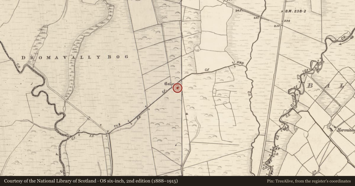 Ordnance Survey six-inch map, 2nd edition (1888–1915) covering the location of Standing stone - pair, Derrygorman, County Kerry, with a pin at the register's coordinates