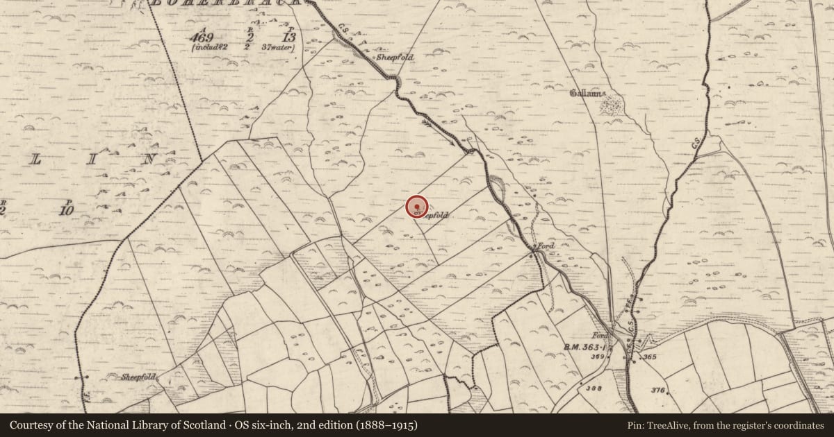 Ordnance Survey six-inch map, 2nd edition (1888–1915) covering the location of Ringfort - cashel, An Bóthar Breac, County Kerry, with a pin at the register's coordinates