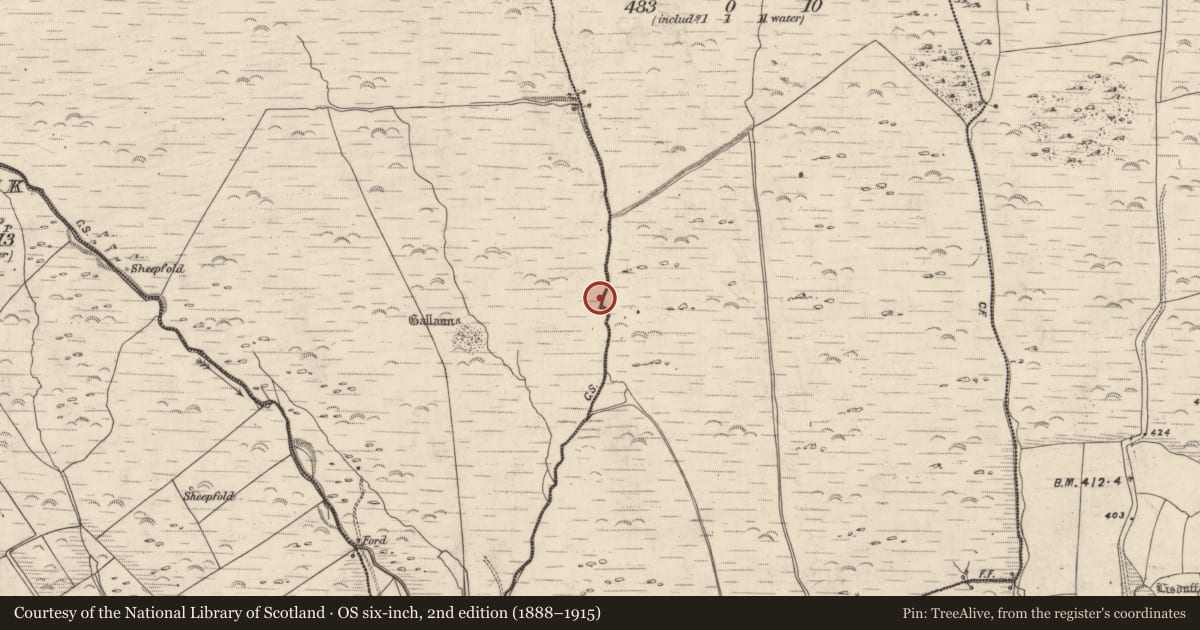 Ordnance Survey six-inch map, 2nd edition (1888–1915) covering the location of Field system, An Gabhlán Ard, An Gabhlán Beag, County Kerry, with a pin at the register's coordinates