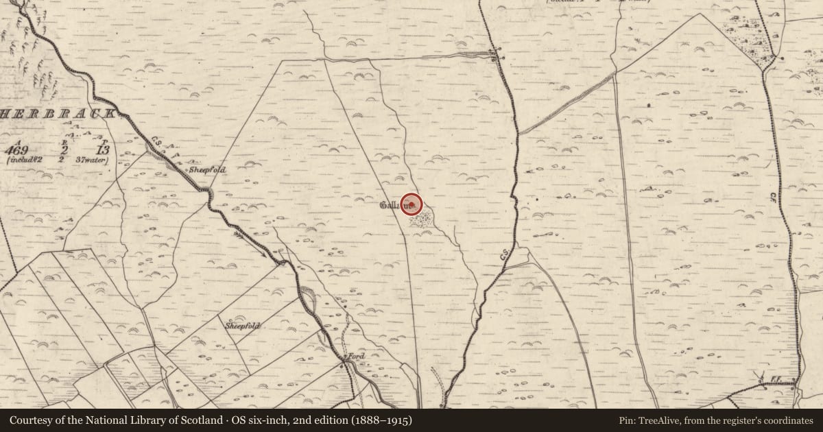 Ordnance Survey six-inch map, 2nd edition (1888–1915) covering the location of Standing stone, An Gabhlán Beag, County Kerry, with a pin at the register's coordinates